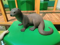 -北京科学中心儿童乐园