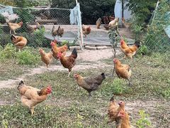 -妈妈的小作坊(陈家镇店)