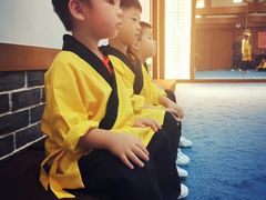 -少林功夫文化中心·独门独院