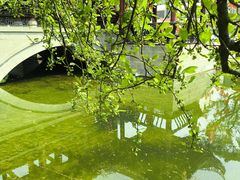 -棠湖公园