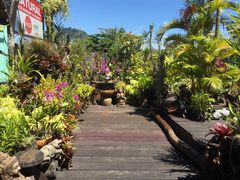 -自然餐厅(Phuket)