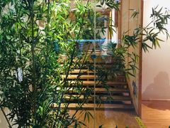 -爱家国际收藏品交流市场