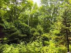 -帽儿山风景区