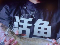 -老板恋上鱼(恒隆广场店)