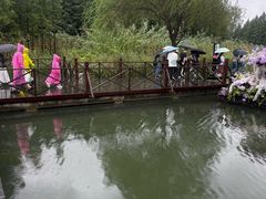 -溱湖国家湿地公园