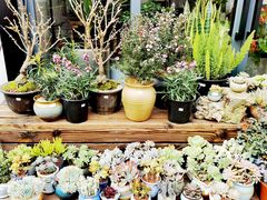 -星光城