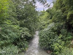 -都江堰中华大熊猫苑
