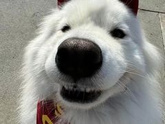 -纳吉亚猫专科动物医院博雅分院