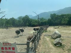 -西安秦岭野生动物园