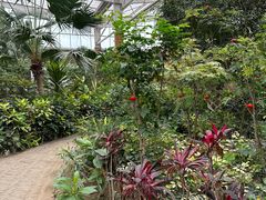 -南宫五洲植物乐园