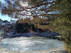 -香山公园
