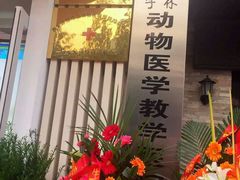 -芭比堂动物医院·犬猫全科·异宠专科(雁塔分院)
