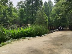 -白水寺森林公园