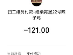 -22号传承新疆菜·柴窝堡辣子鸡