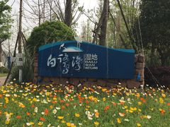 -白鹭湾湿地公园