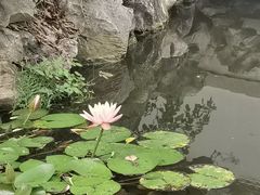 -苏州冶园园林民宿(太湖西山风景区店)