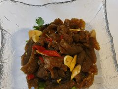 -正兴蜀园(科技园区店)