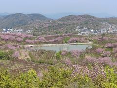 -四明山国家森林公园