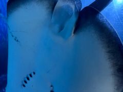 -太平洋海底世界