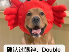 -Double Rui宠物酒店