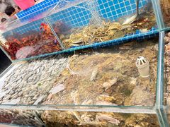 -港畔赶海蒸汽海鲜烧烤自助(仙螺岛店)