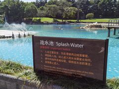-上海月湖雕塑公园