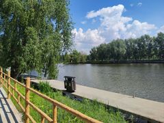 -白渔泡湿地公园