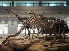 -自贡恐龙博物馆