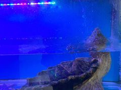 -东家小院金汤酸菜鱼(南阳路店)