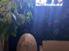 -宫七SPA·高端Massage(浦东大道店)