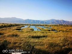 景点-野鸭湖国家湿地公园