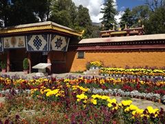 iphone_upload_pic-罗布林卡