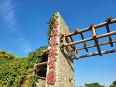 -塘沽森林公园