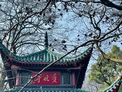 -岳麓山风景名胜区