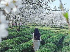 -凤凰沟景区
