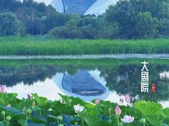 -哈尔滨大剧院
