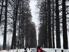 -东湖生态旅游风景区