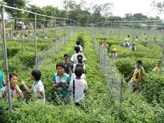 -广东茂名森林公园