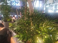 -gaga(深圳福田星河COCO Park店)