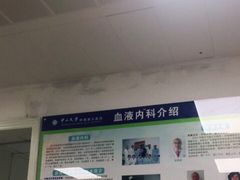 -中山大学附属第五医院