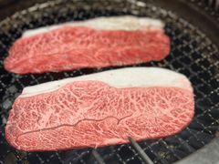 -和牛放题的殿堂 肉屋横丁(秋叶原店)