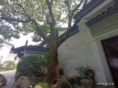 -东山雕花楼