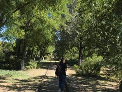 -永定河休闲森林公园