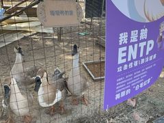 -菊园百果园