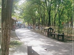 -西青郊野公园