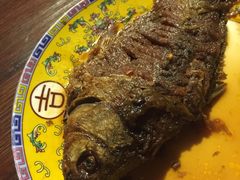 -七菜馆·东北菜·蒸饺(文体路店)