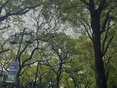 -Miette制菓所