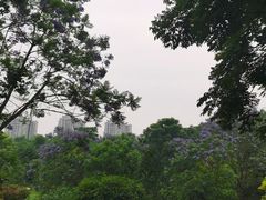 -金海湾滨江公园