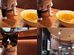 -蟹黄鱼·海派深夜面馆(江湾里店)