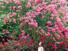 -杭州城北体育公园